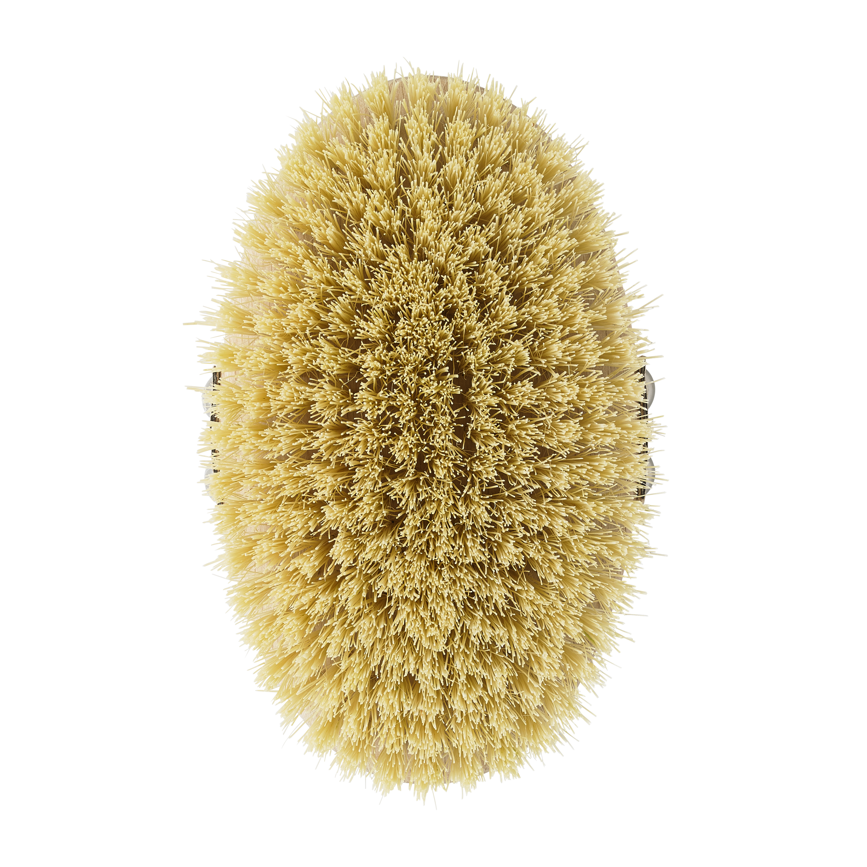 Revive Body Brush Aromatherapy Associates